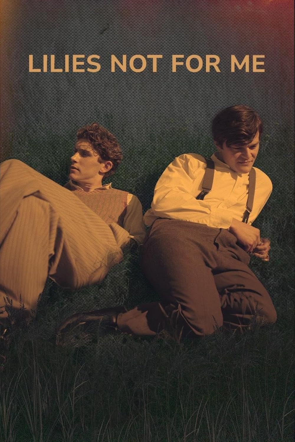 lilies-not-for-me